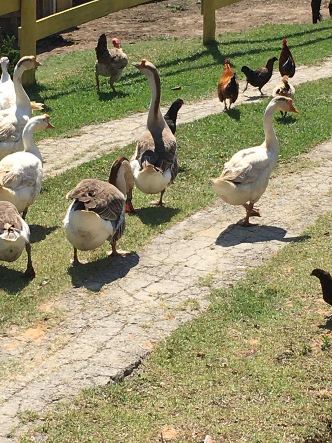 Casa de hóspedes Pe Na Terra Em Guararema