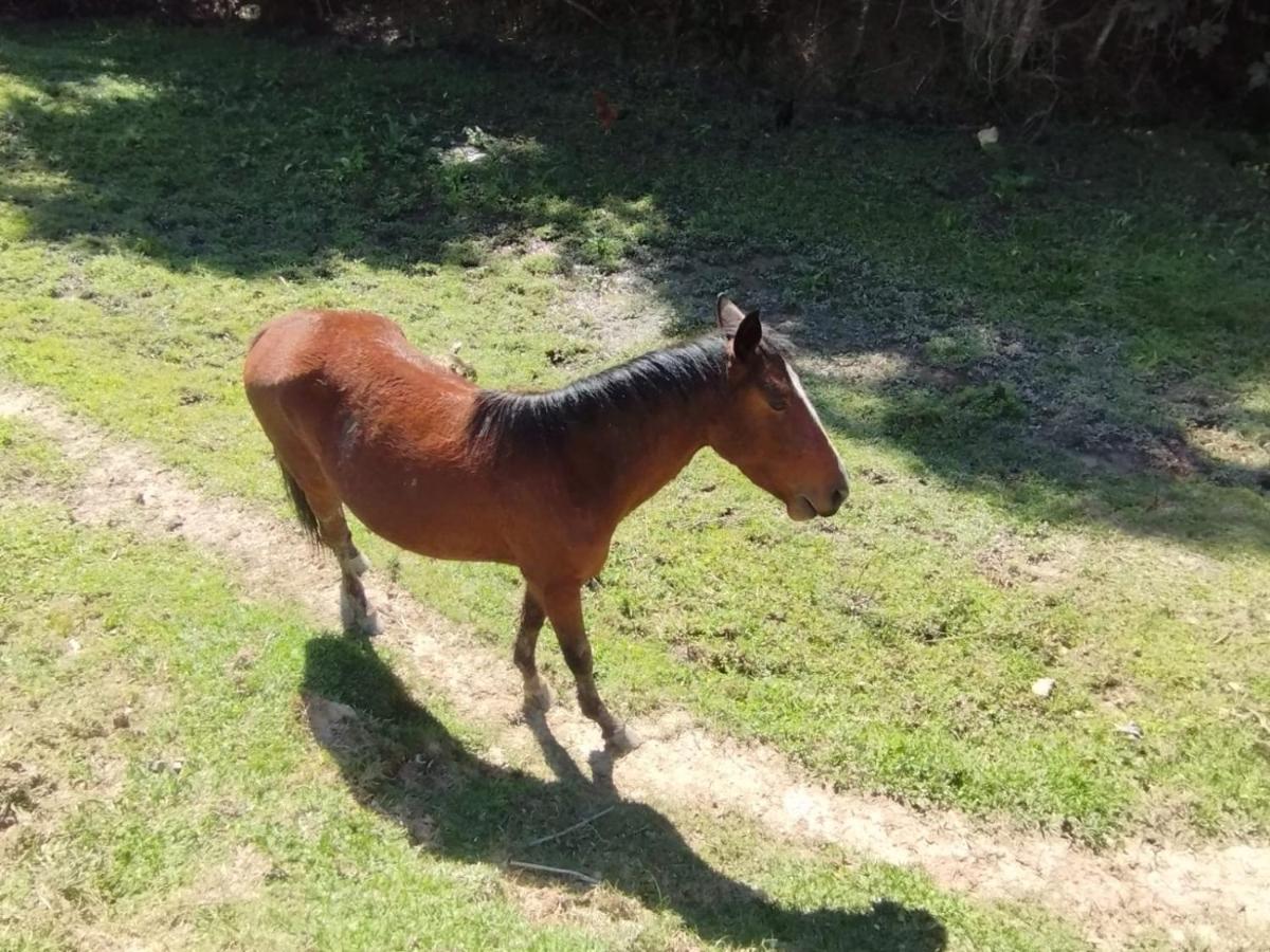 Pe Na Terra Em Casa de hóspedes *