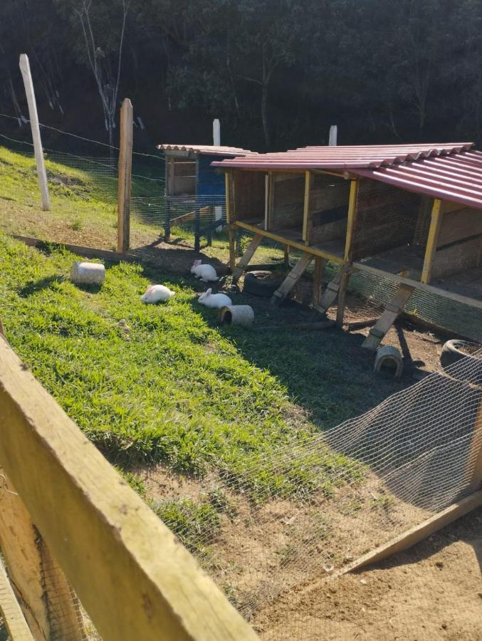 Pe Na Terra Em * Guararema