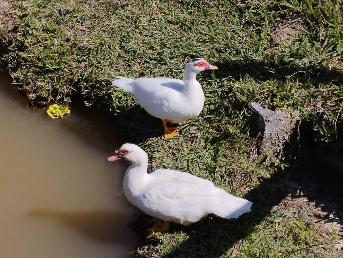 Casa de hóspedes Pe Na Terra Em Guararema