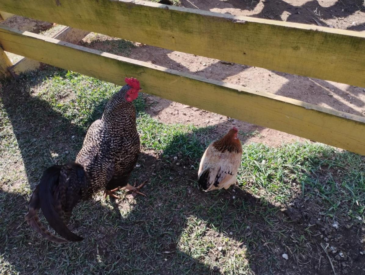 Casa de hóspedes Pe Na Terra Em Guararema