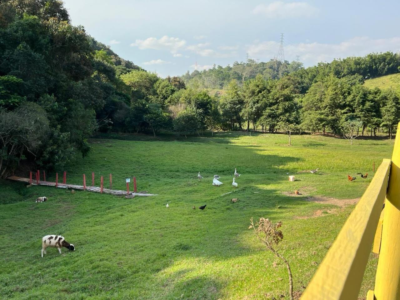 Pe Na Terra Em * Guararema